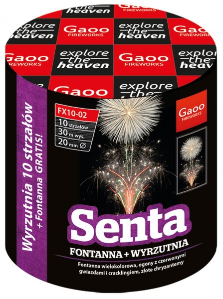 Feuerwerk Hannover - Gaoo Senta
