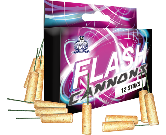 Feuerwerk Hannover - Lesli Flash Cannons