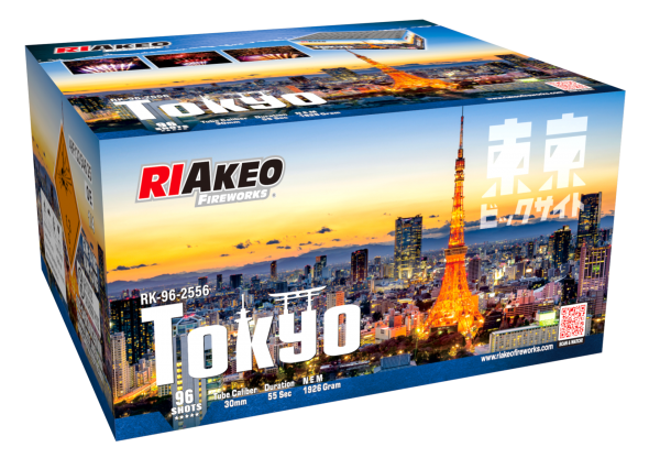 Feuerwerk Hannover - Riakeo Tokyo