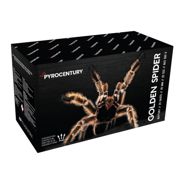 Feuerwerk Hannover - Pyrocentury Golden Spider