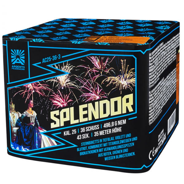 Feuerwerk Hannover - Argento Splendor