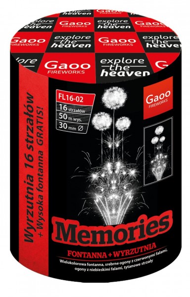 Feuerwerk Hannover - Gaoo Memories