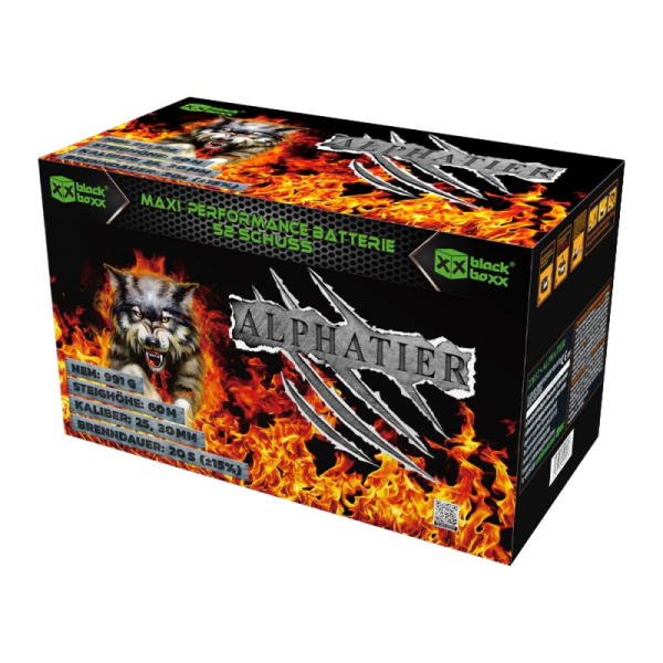 Feuerwerk Hannover - Blackboxx Alphatier