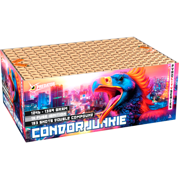 Feuerwerk Hannover - Lesli Condor Junkie