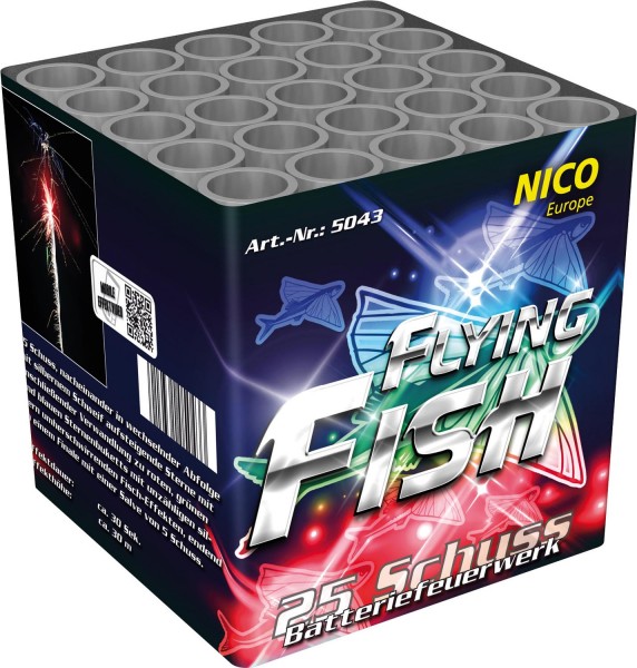Feuerwerk Hannover - NICO Flying Fish