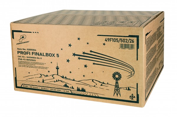 Feuerwerk Hannover - Startrade Pyrofessional Profi Finalbox 5
