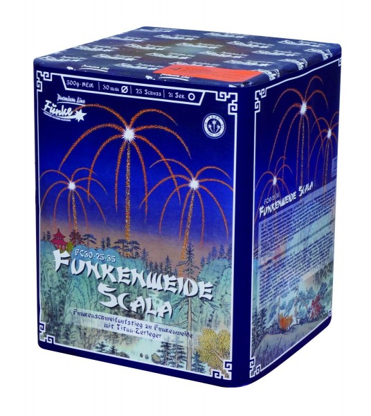 Feuerwerk Hannover - Funke Funkenweide Scala