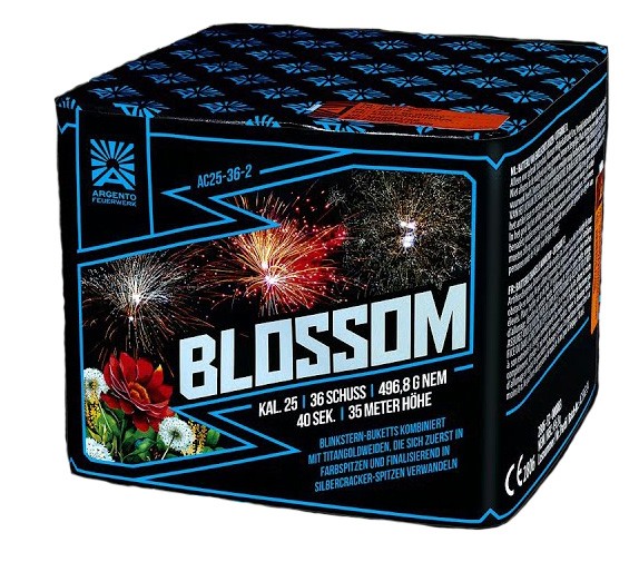 Feuerwerk Hannover - Argento Blossom