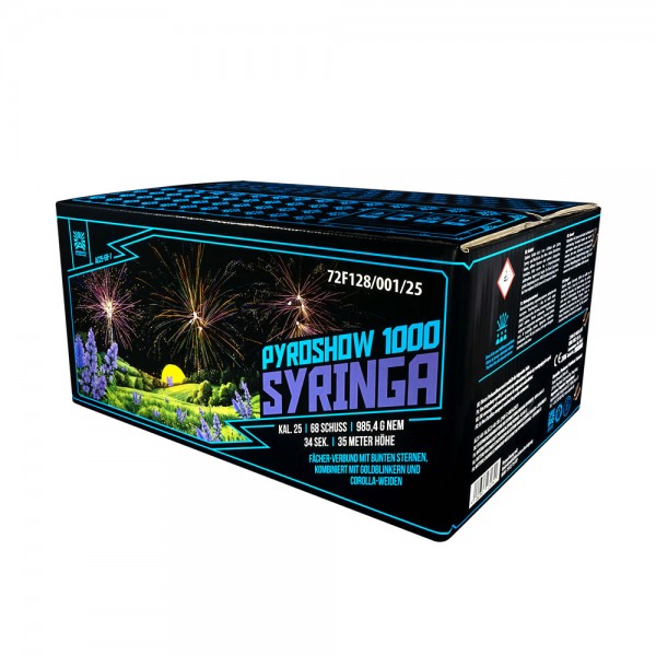 Feuerwerk Hannover - Argento Syringa