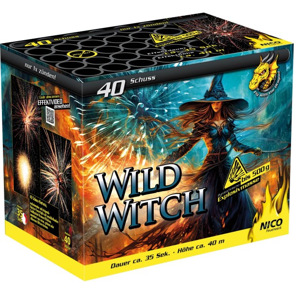 Feuerwerk Hannover - NICO Wild Witch