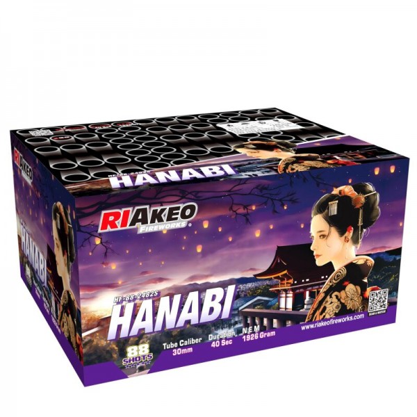 Feuerwerk Hannover - Riakeo Hanabi