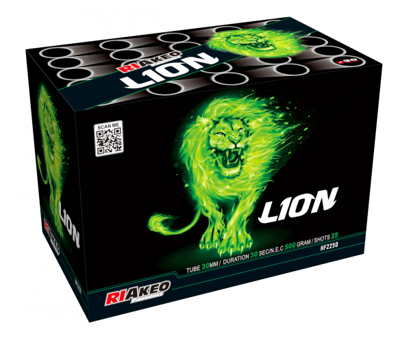 Feuerwerk Hannover - Riakeo Lion
