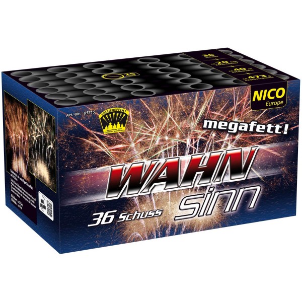 Feuerwerk Hannover - NICO Wahnsinn